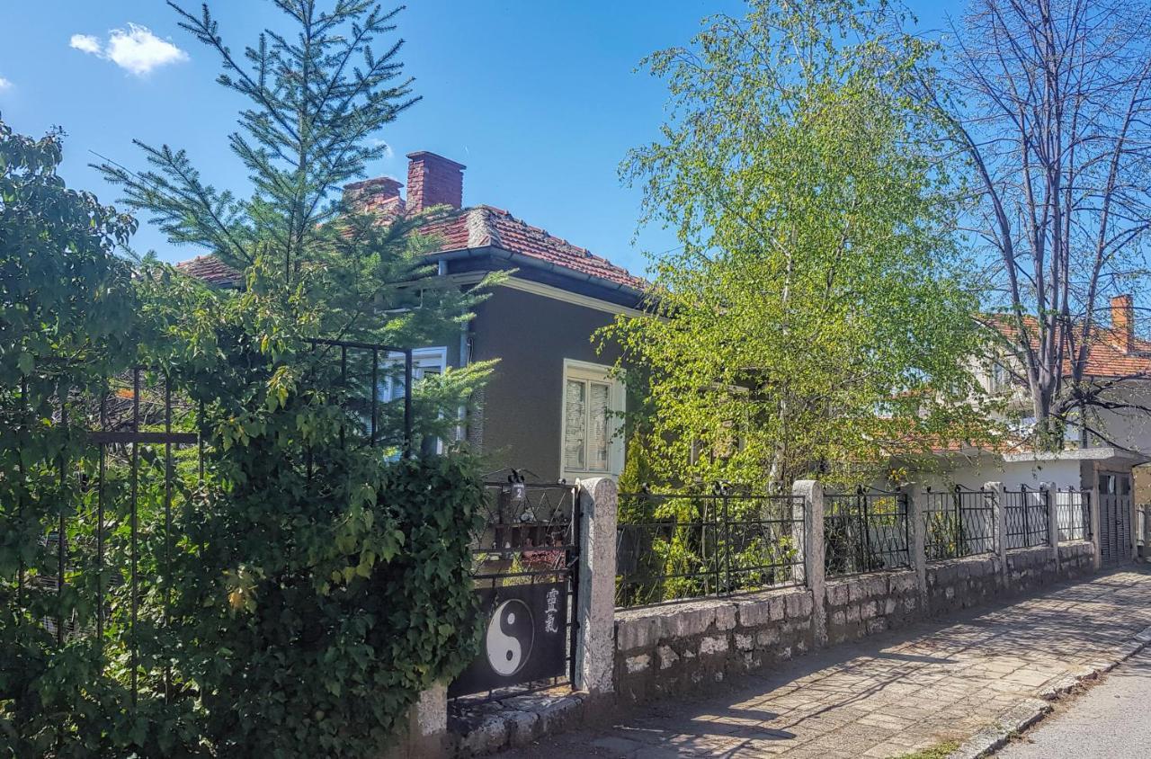Дионея Belogradchik Ngoại thất bức ảnh